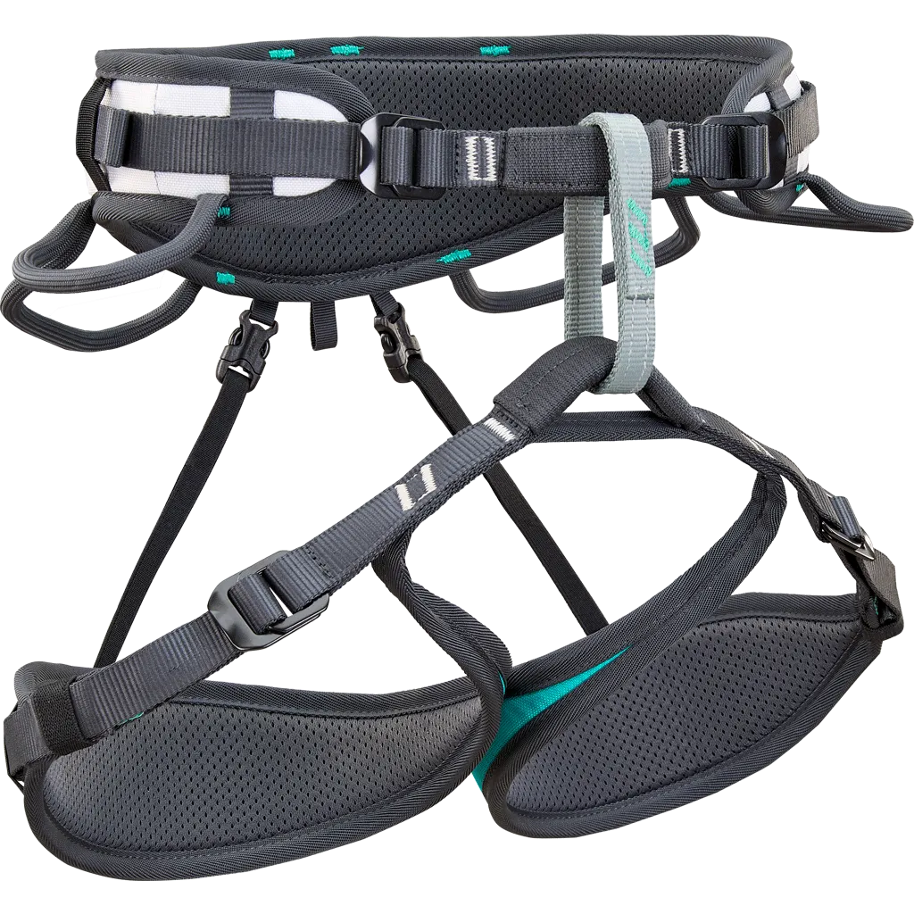 Ascent Harness | Aquamarine/Silver Grey