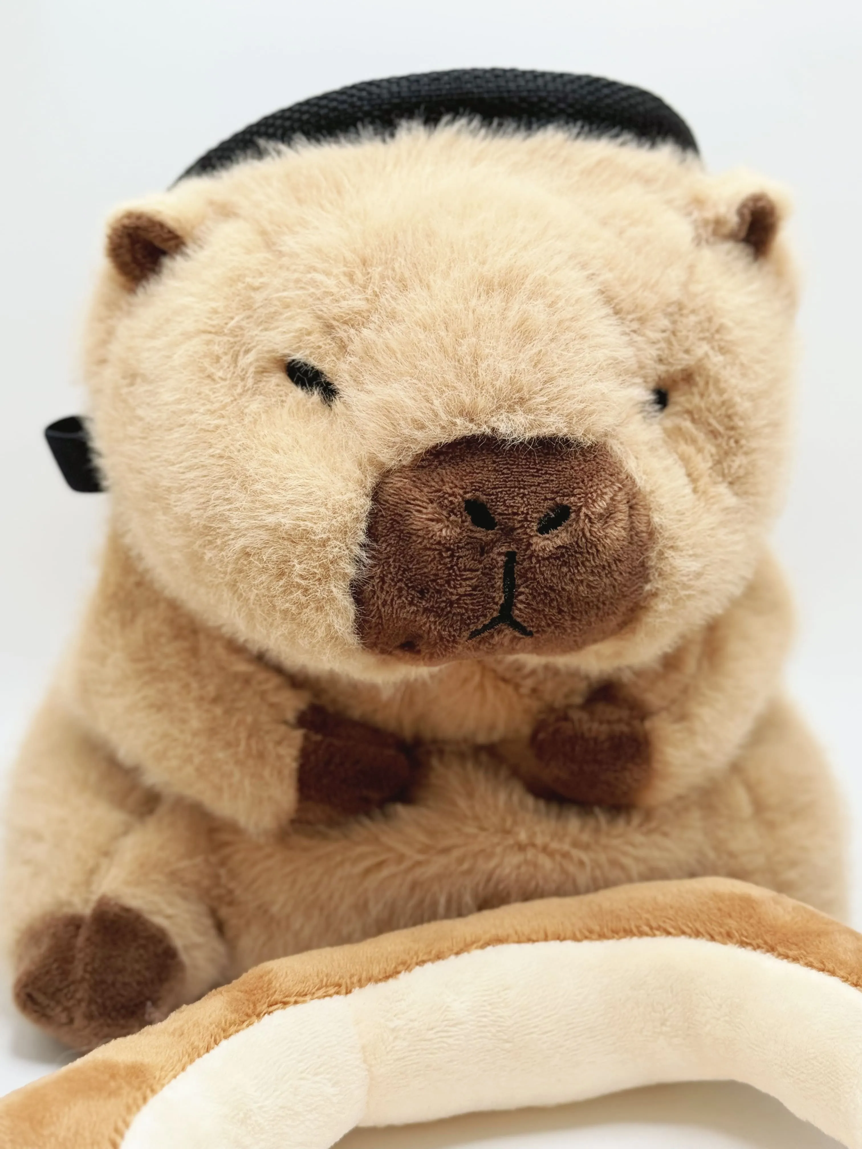 Baby Capybara Toast Chalk Bag