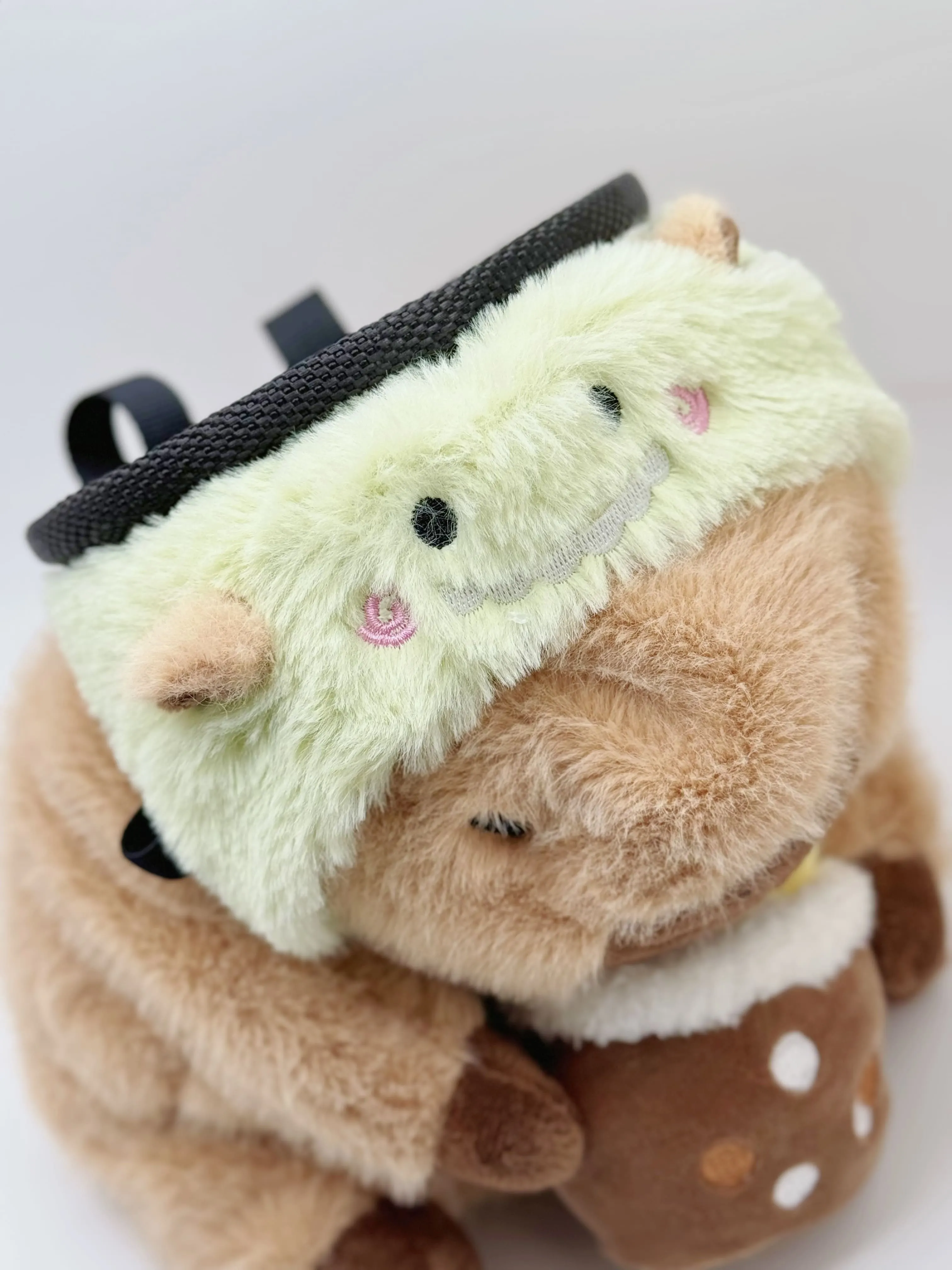 Baby Capybara with Dinosaur Boba Chalk Bag