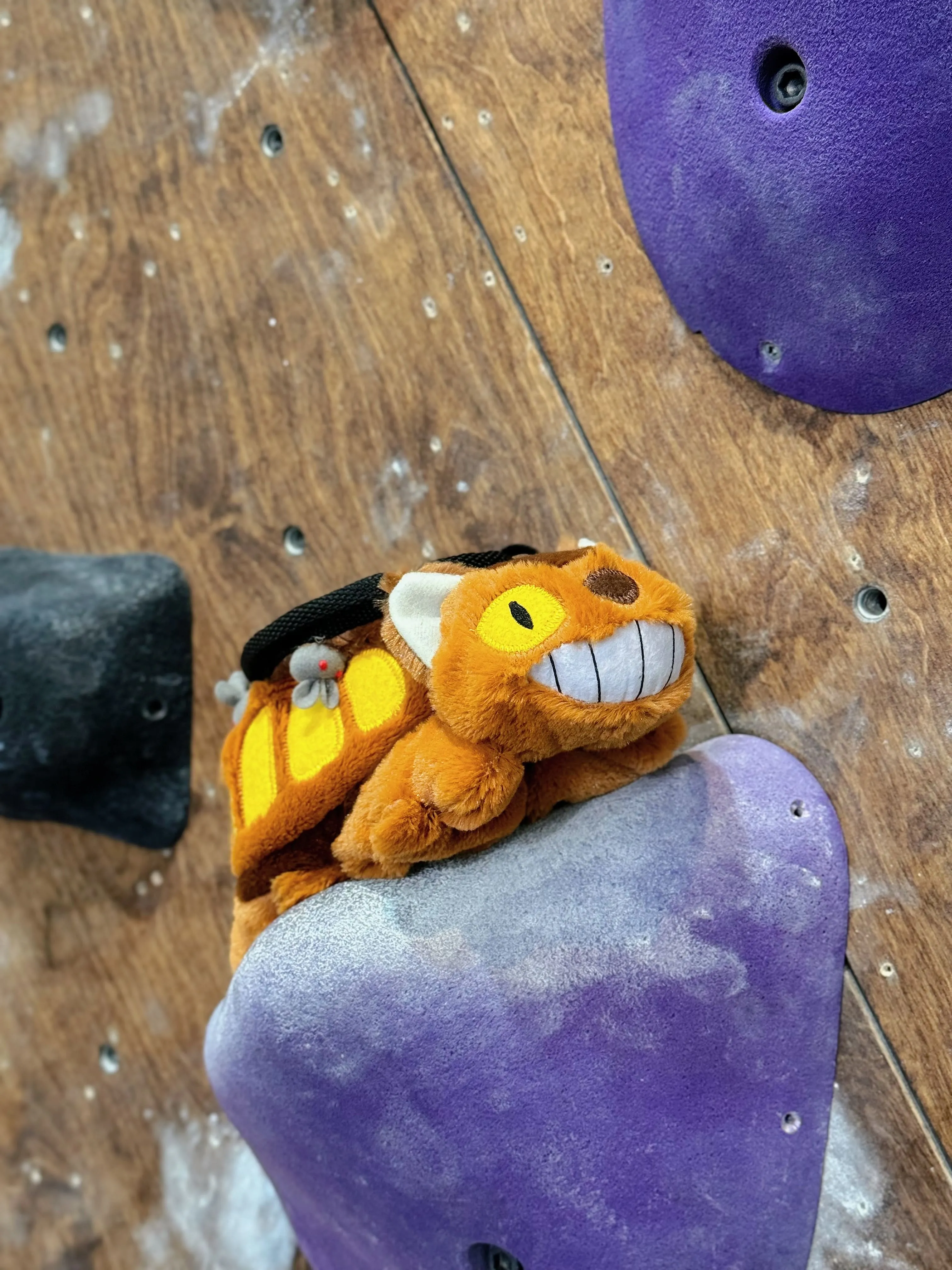 Catbus Chalk Bag