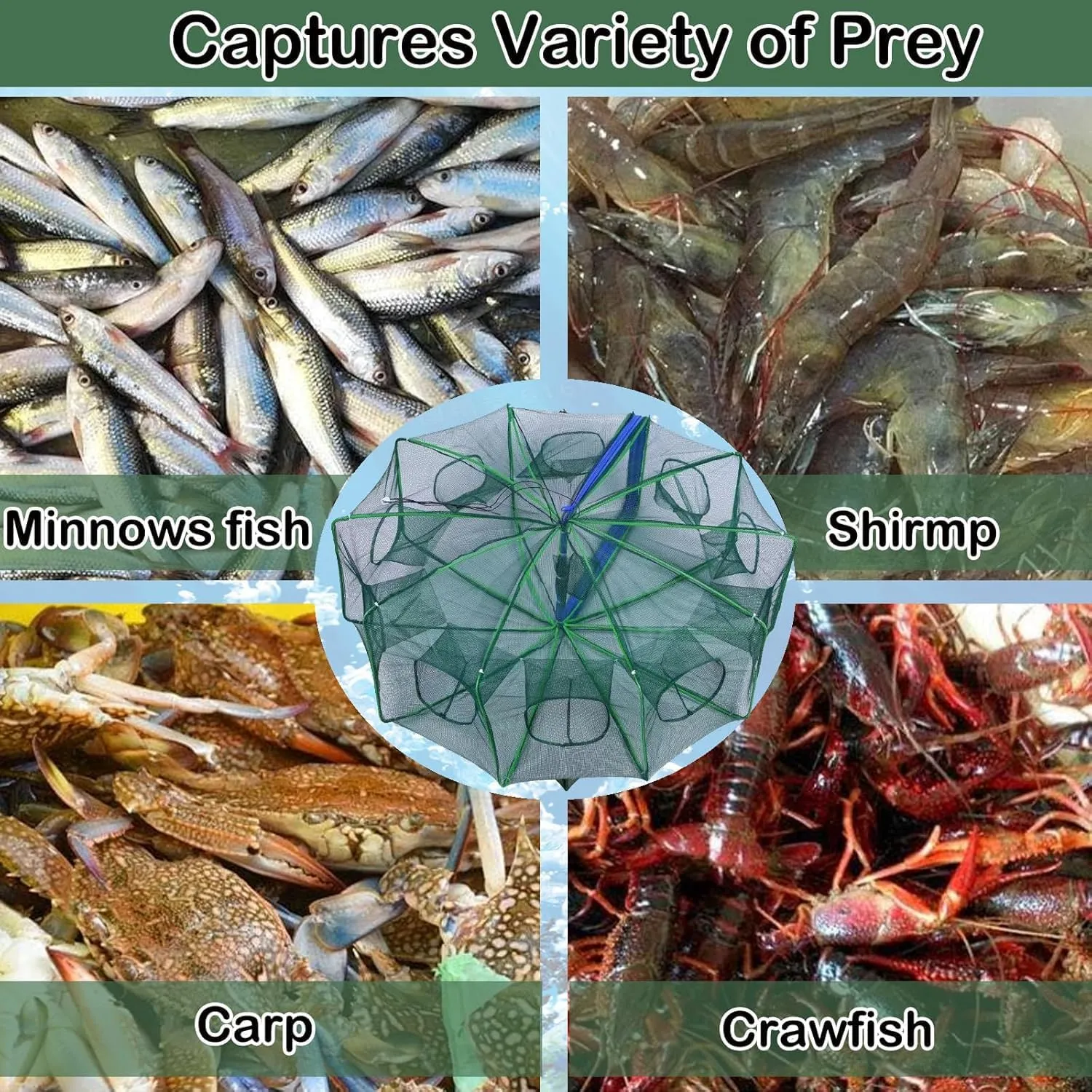 Collapsible Fishing Bait Minnow Trap - Durable Fish Trap Net for Minnow, Crab, Crayfish, Shrimp Fish Trap Net - Designed for Minnows and Beyond