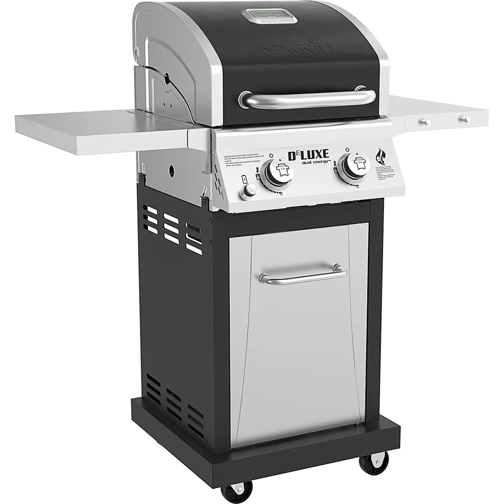 DEluxe 2-Burner Gas Grill
