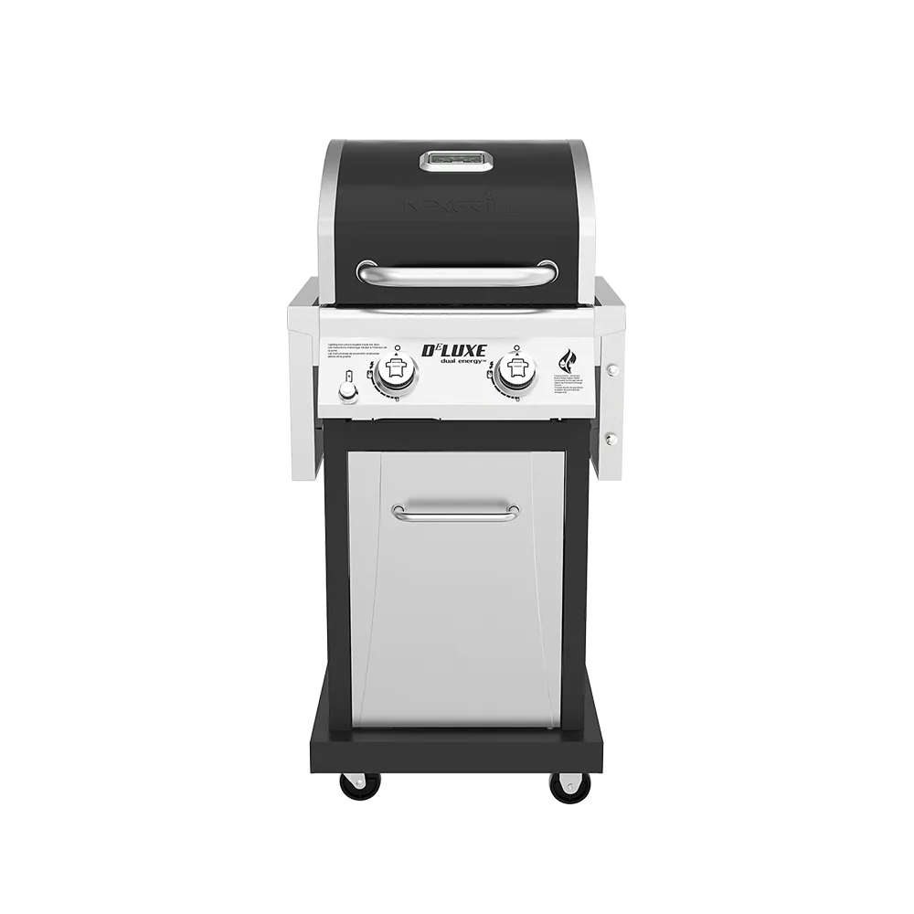 DEluxe 2-Burner Gas Grill