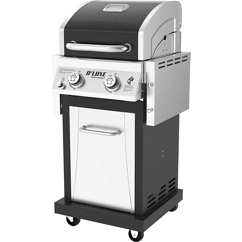 DEluxe 2-Burner Gas Grill