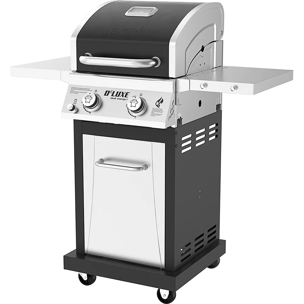 DEluxe 2-Burner Gas Grill