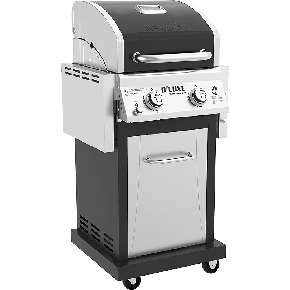 DEluxe 2-Burner Gas Grill