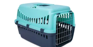 ECO Gipsy Carrier (Ice Blue, Small) | Bergamo