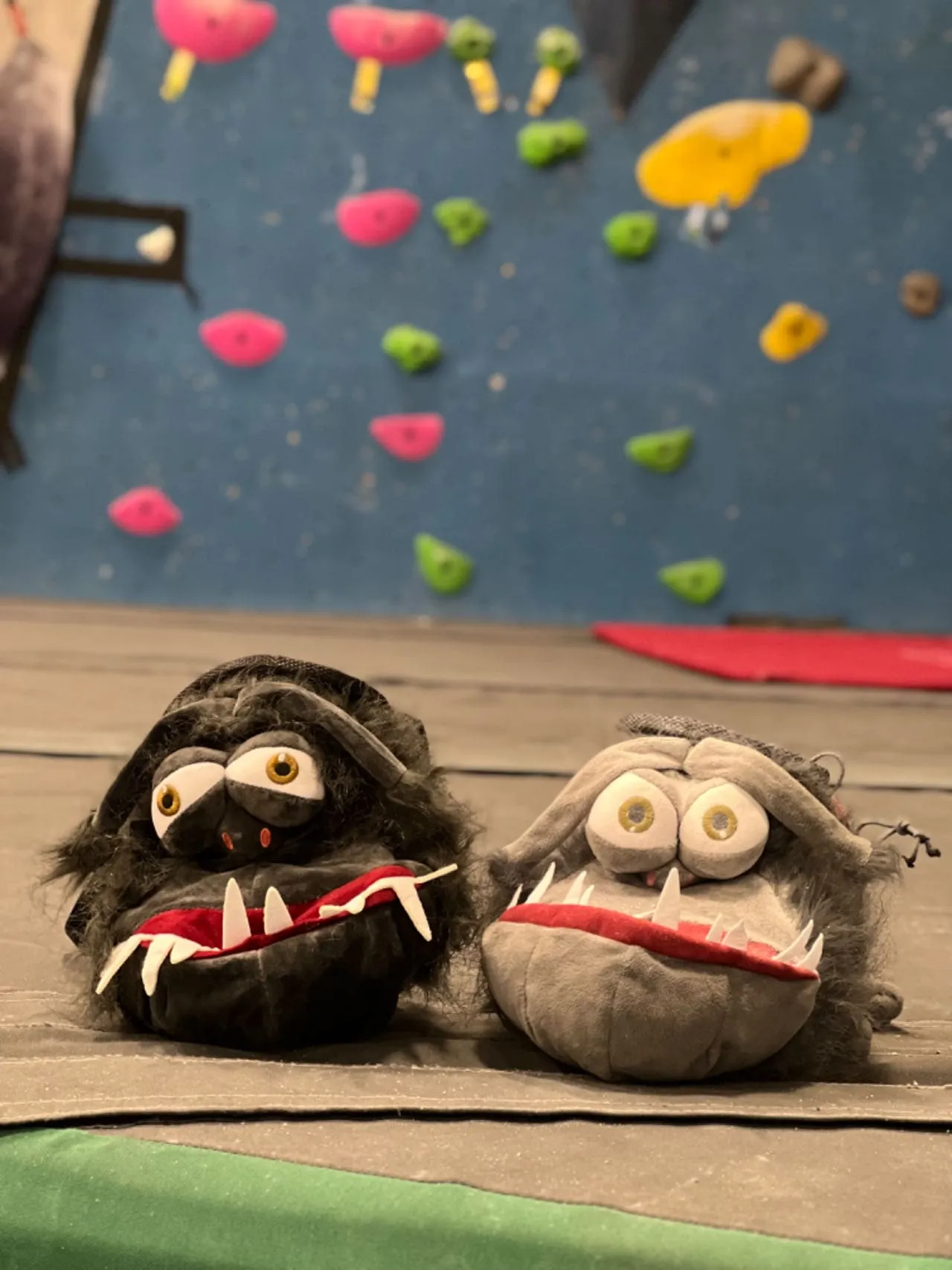 Kyle Gru Crag Dog Chalk Bag