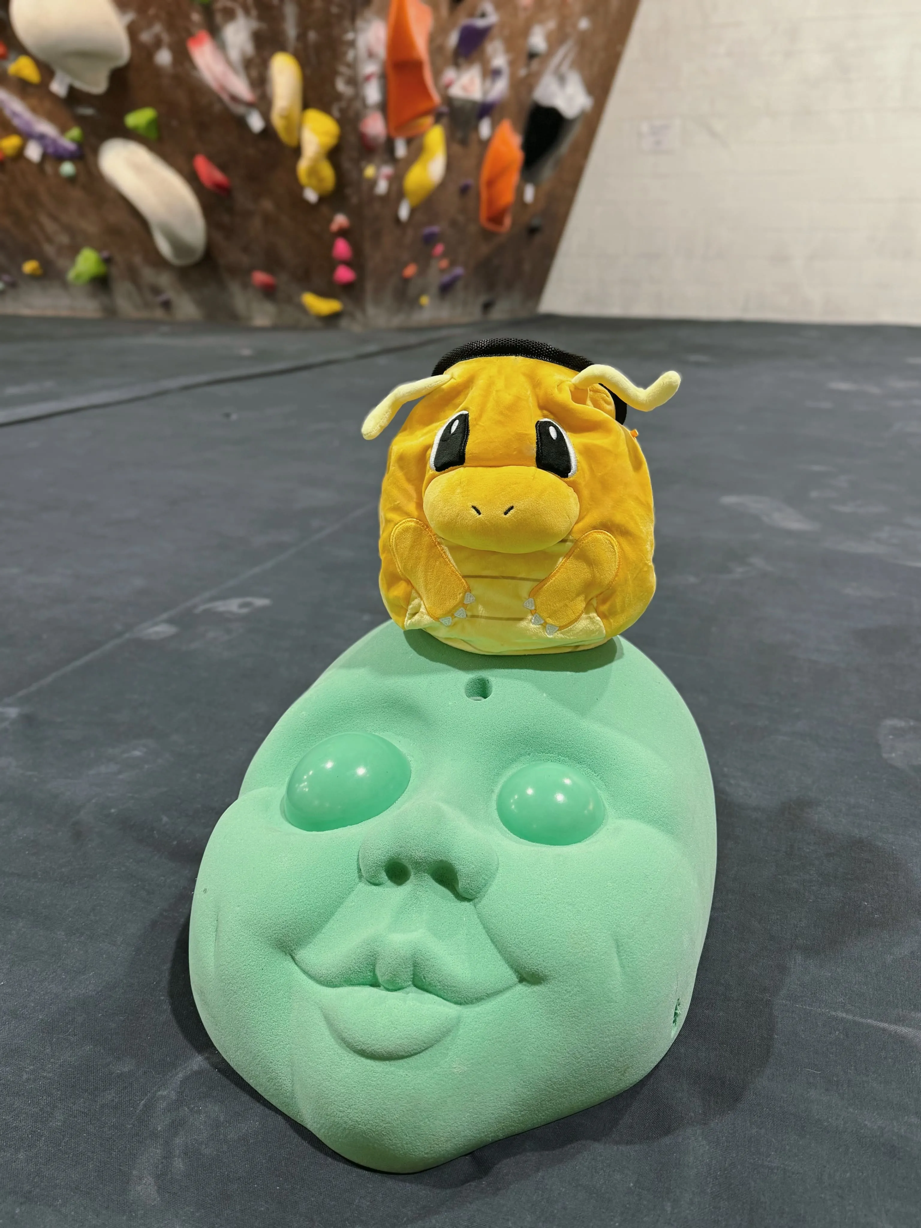 Limited Edition Dragonite Chalk Bucket