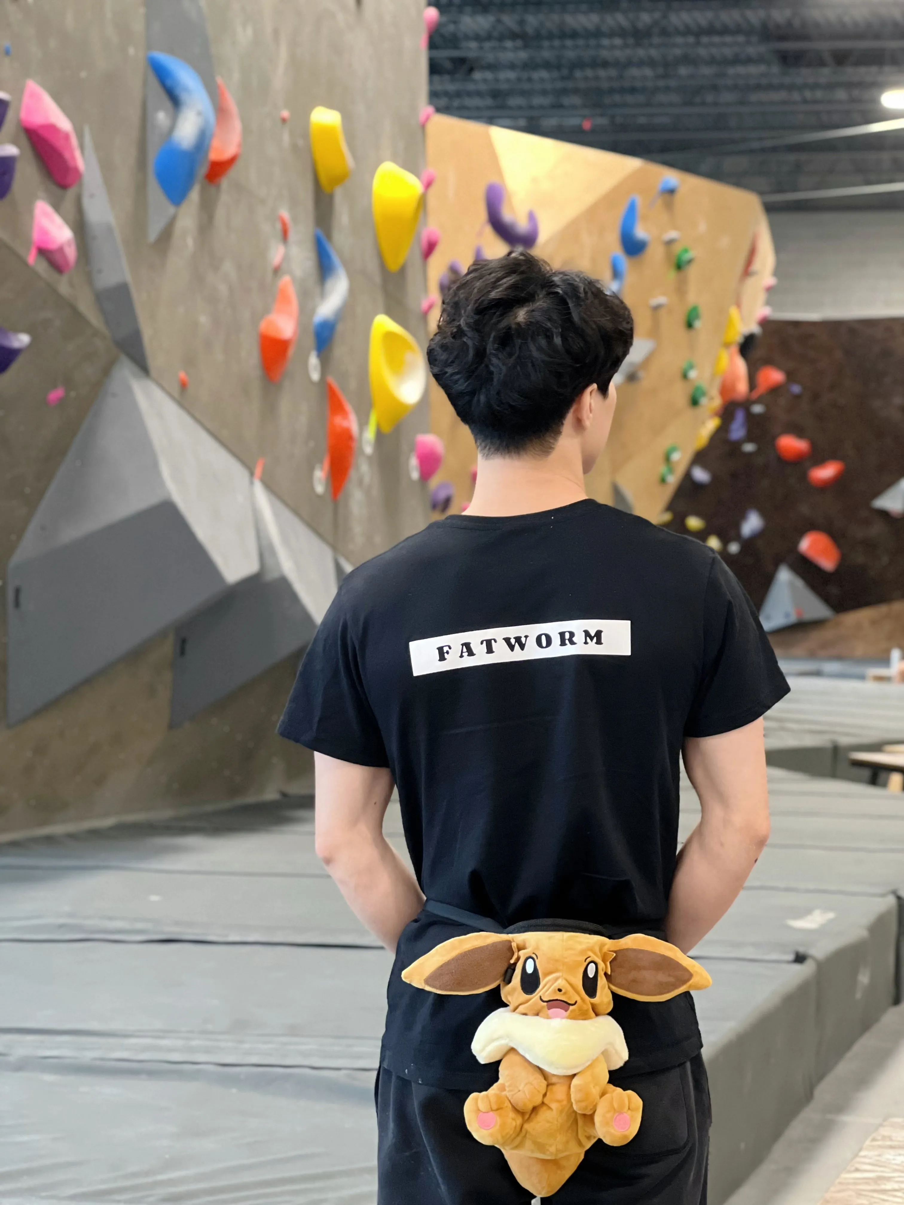 Limited Edition Eevee Chalk Bag