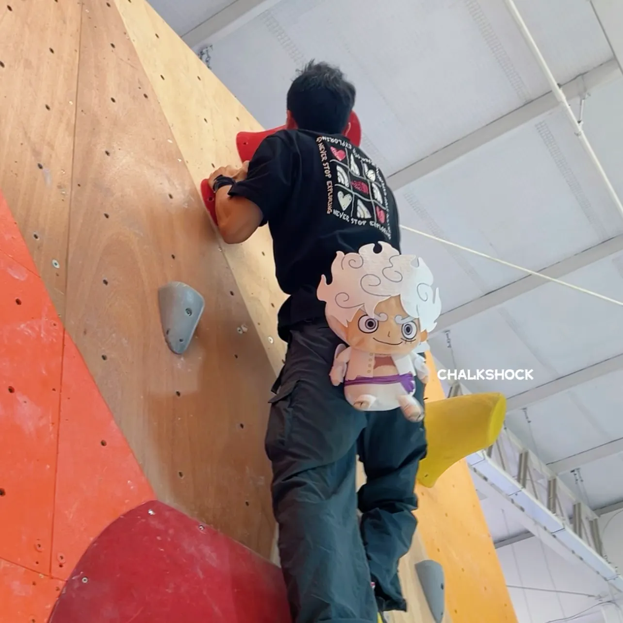 Limited Edition : Nika Luffy Gear 5 chalk bag