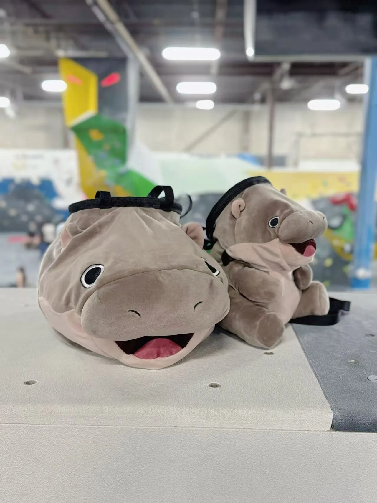 Moo Deng Pygmy Hippo Chalk Bucket/Bouldering Bag