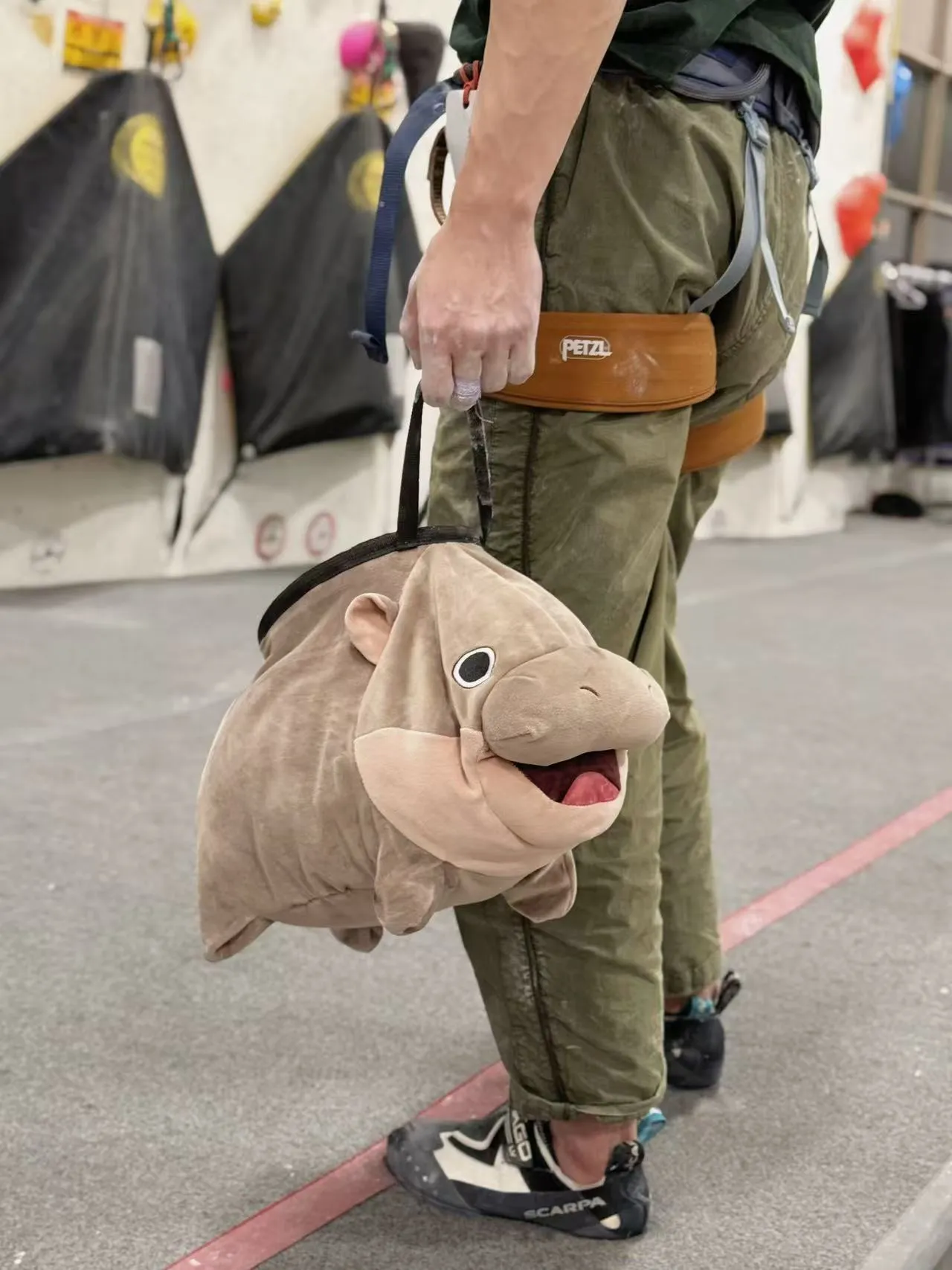 Moo Deng Pygmy Hippo Chalk Bucket/Bouldering Bag