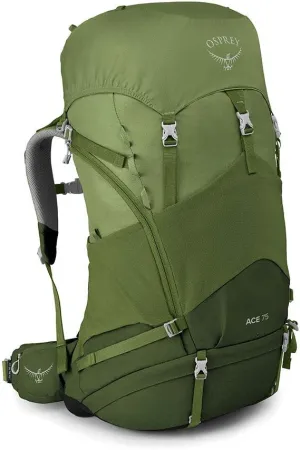 Osprey Ace Kids' Backpacking Backpack