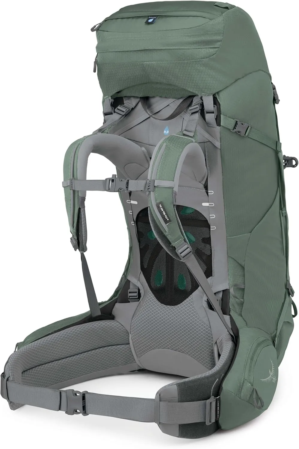 Osprey Ariel 65L Women's Backpacking Backpack, Koseret Green, WM/L, Extended Fit
