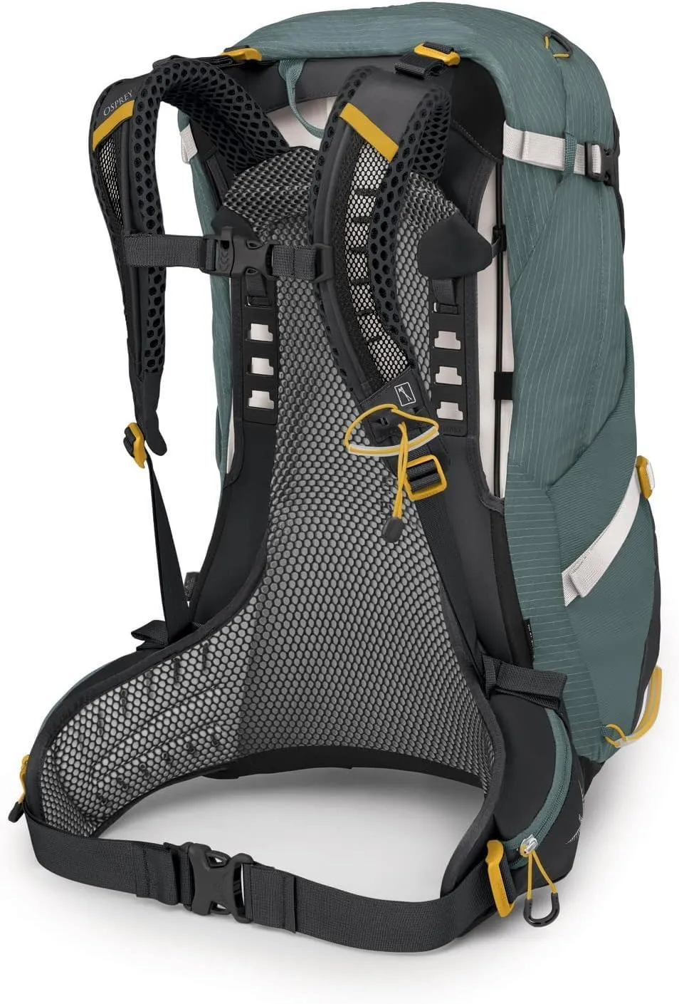 Osprey Sirrus 34L Women's Hiking Backpack, Succulent Green