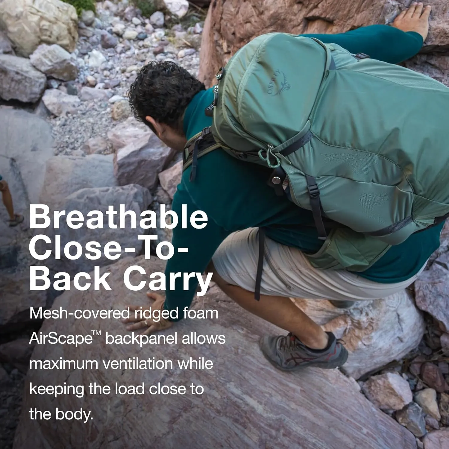 Osprey Sportlite 25L Unisex Hiking Backpack, Pine Leaf Green, M/L, Extended Fit