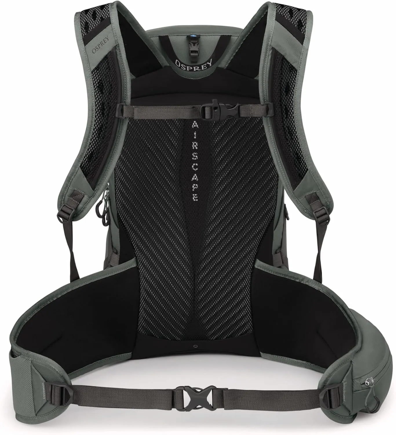 Osprey Sportlite 25L Unisex Hiking Backpack, Pine Leaf Green, M/L, Extended Fit