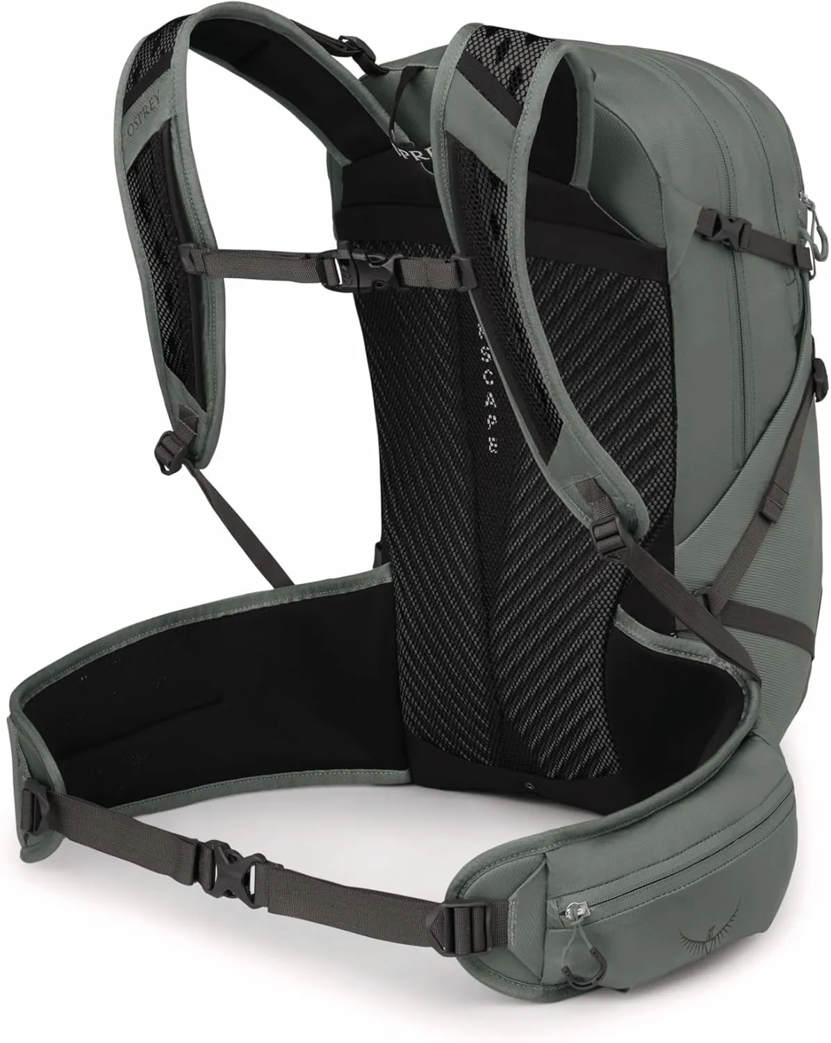 Osprey Sportlite 25L Unisex Hiking Backpack, Pine Leaf Green, M/L, Extended Fit
