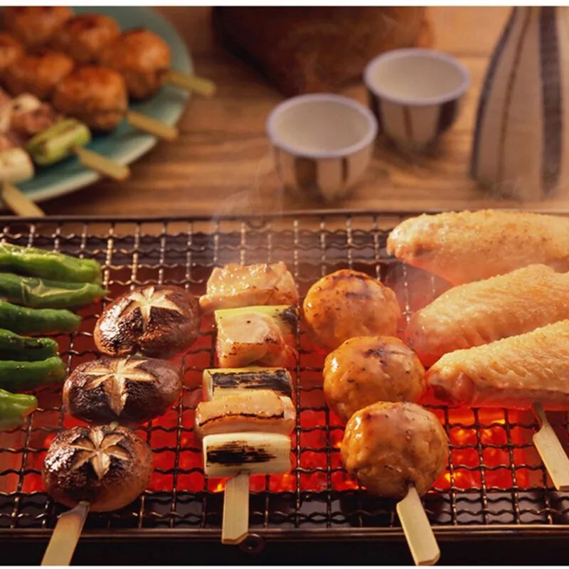 Portable BBQ Grill