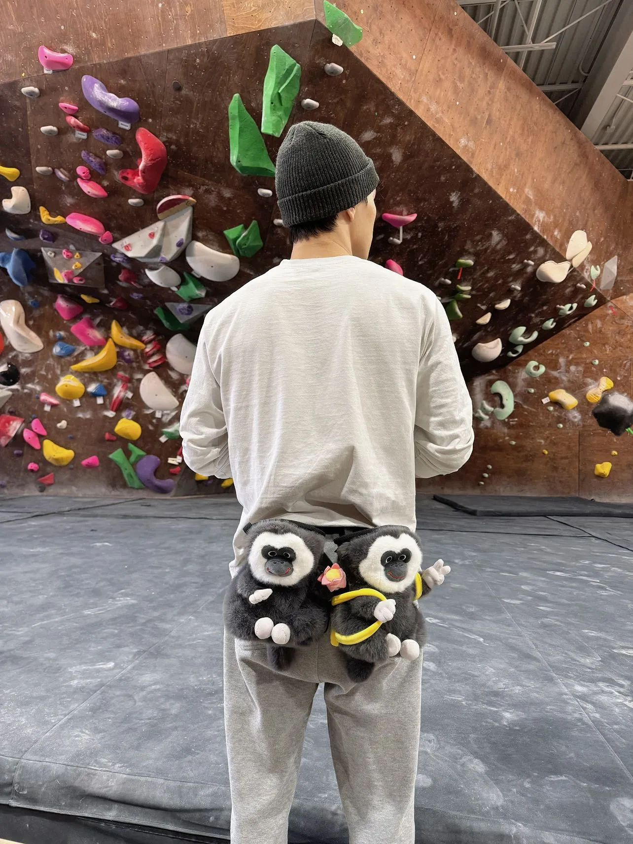 Saki Monkey with Banana Backpack Chalk Bag/Chalk Bucket