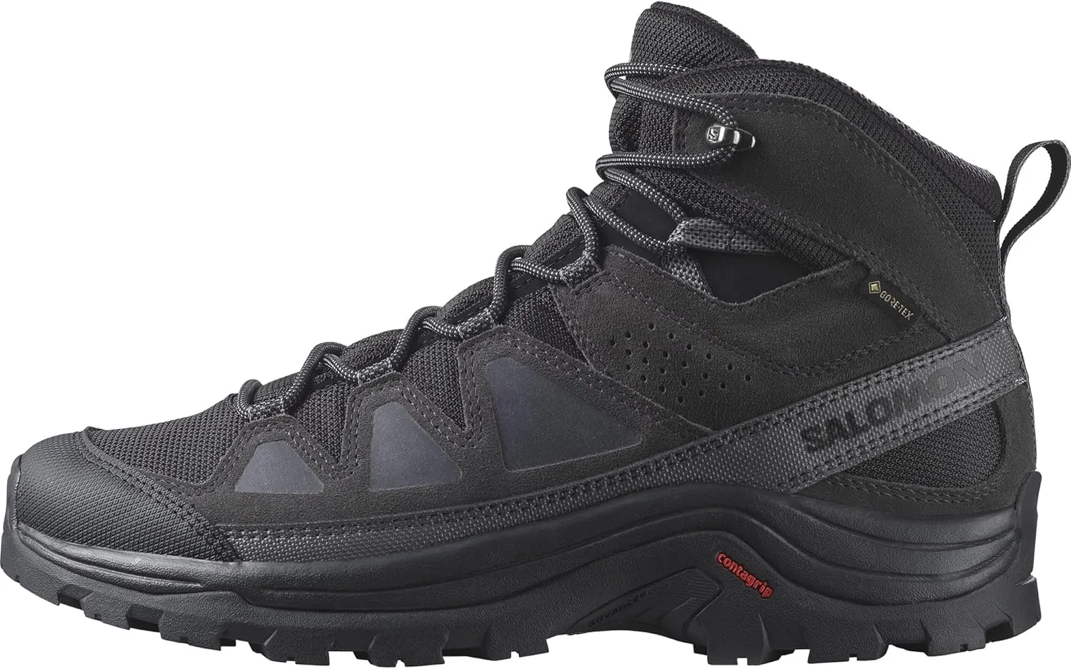 Salomon Men's Quest Rove Gore-Tex Trail Running Shoe