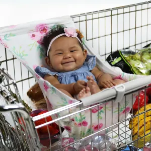 Shopping Cart Hammock for Infants and Toddlers, Cart Seats for Babies, for All Car Seat Models, Grocery Cart Hammock for Baby, Capacity of up to 50 lbs, Full Bloom