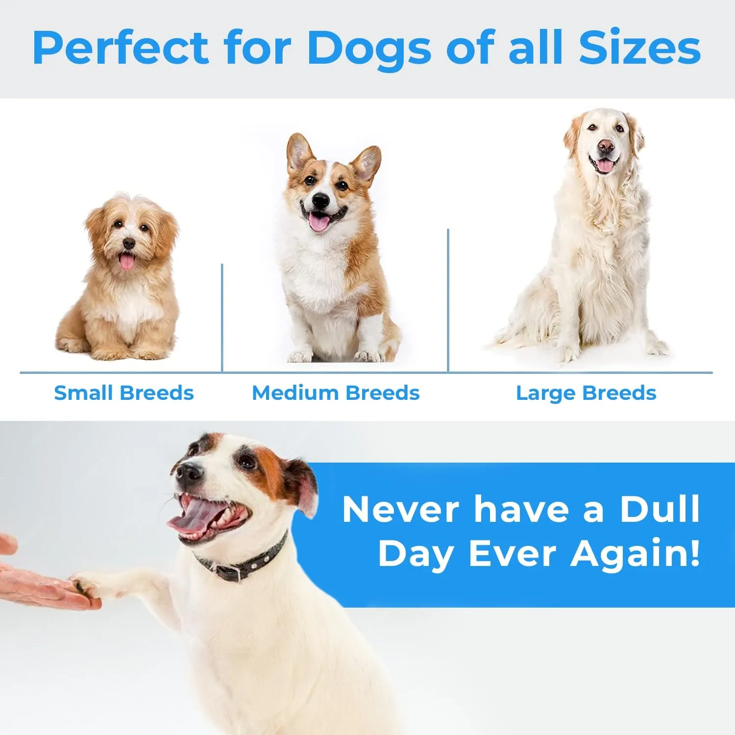 Stride Indestructible Dog Toys - Set of 2 Large Dog Toys for Aggressive Chewers, Great for Teeth Cleaning, Tug of War & Relieves Boredom & Anxiety