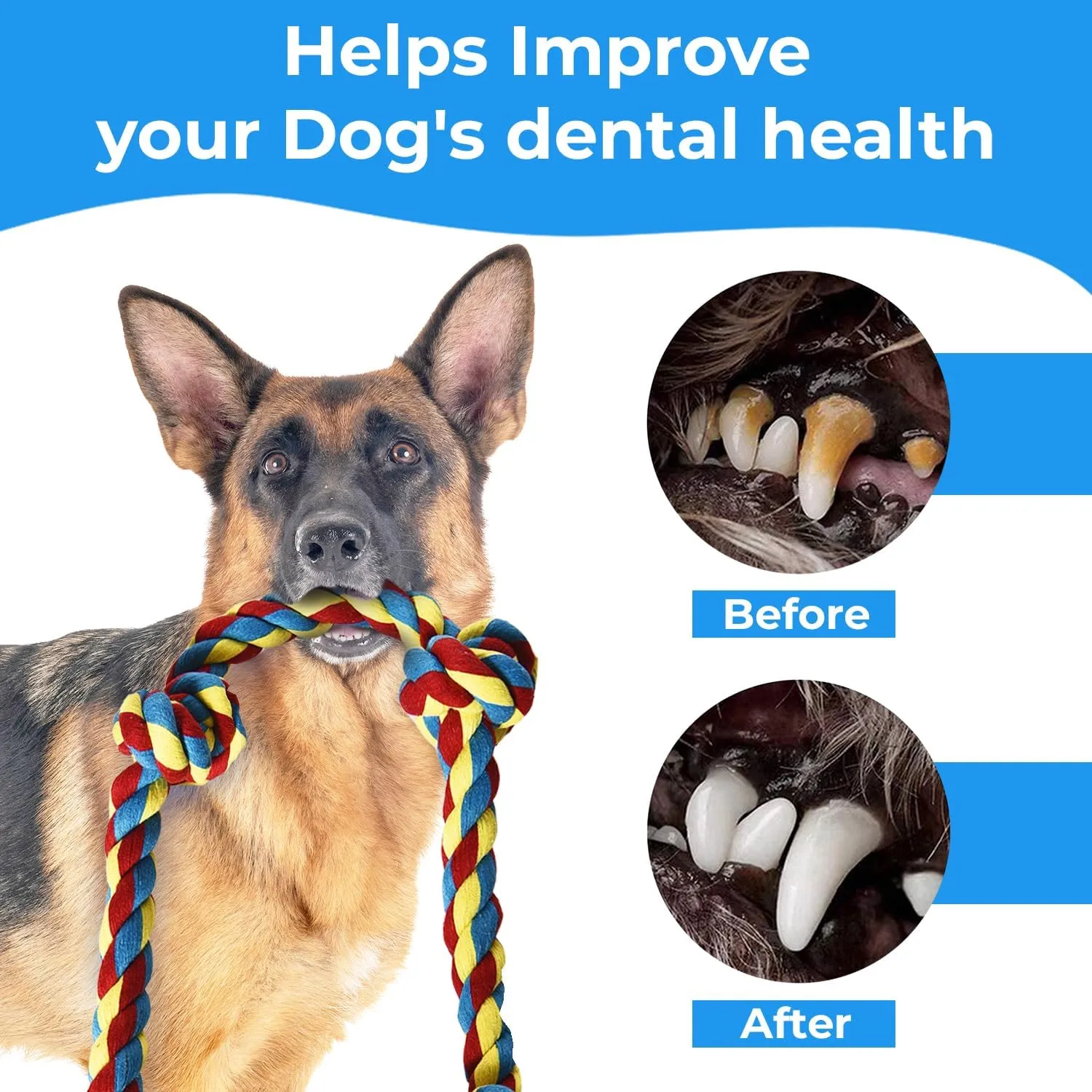 Stride Indestructible Dog Toys - Set of 2 Large Dog Toys for Aggressive Chewers, Great for Teeth Cleaning, Tug of War & Relieves Boredom & Anxiety