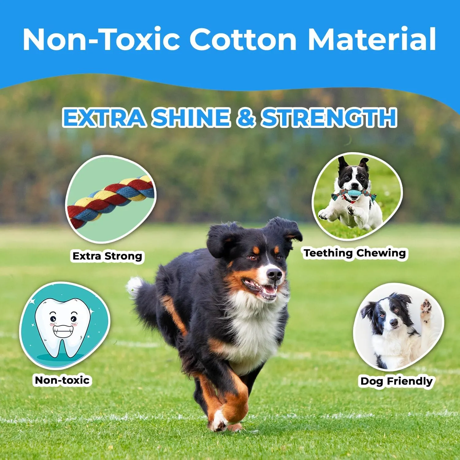 Stride Indestructible Dog Toys - Set of 2 Large Dog Toys for Aggressive Chewers, Great for Teeth Cleaning, Tug of War & Relieves Boredom & Anxiety