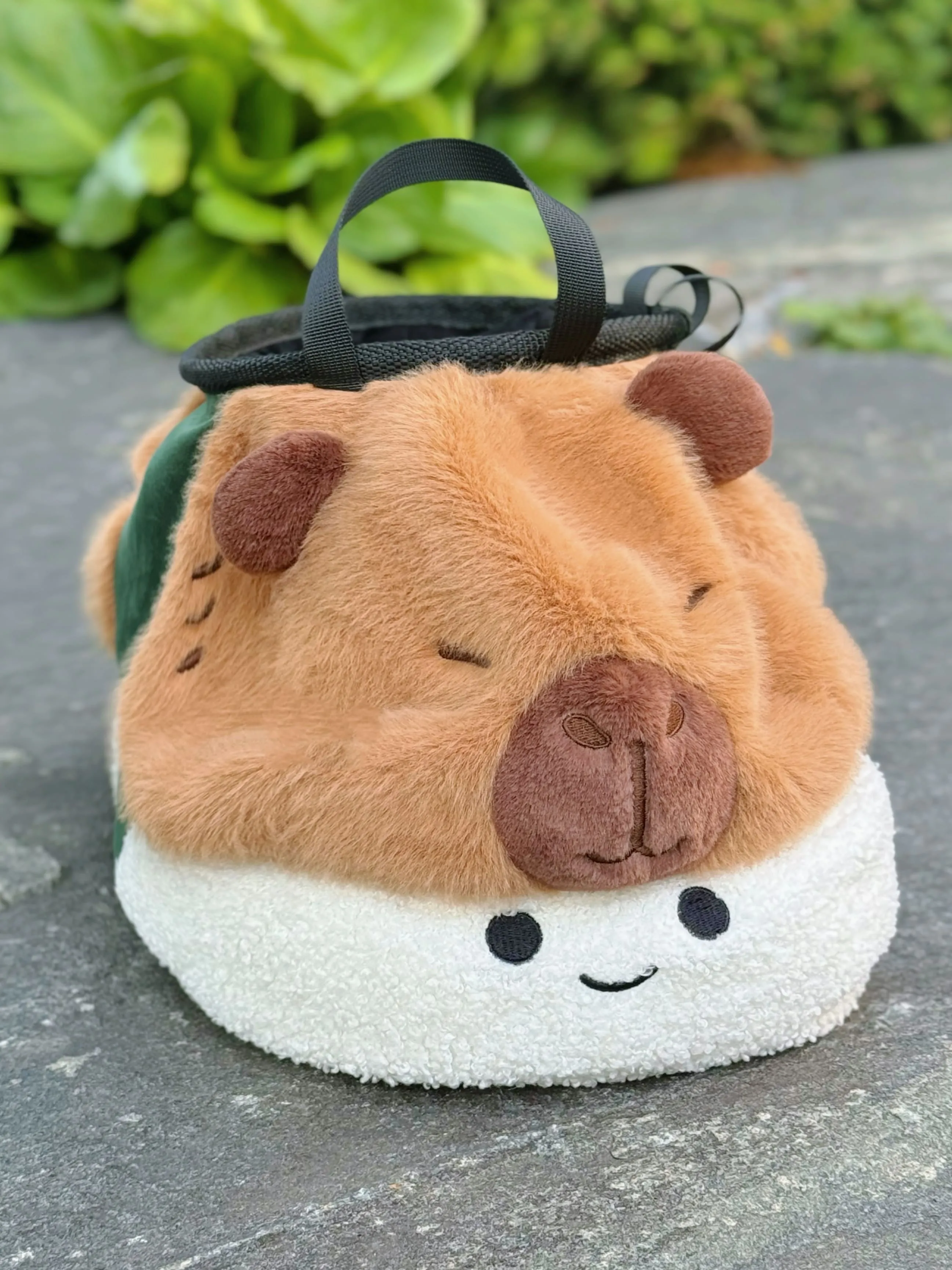 Sushi Capybara Chalk Bucket