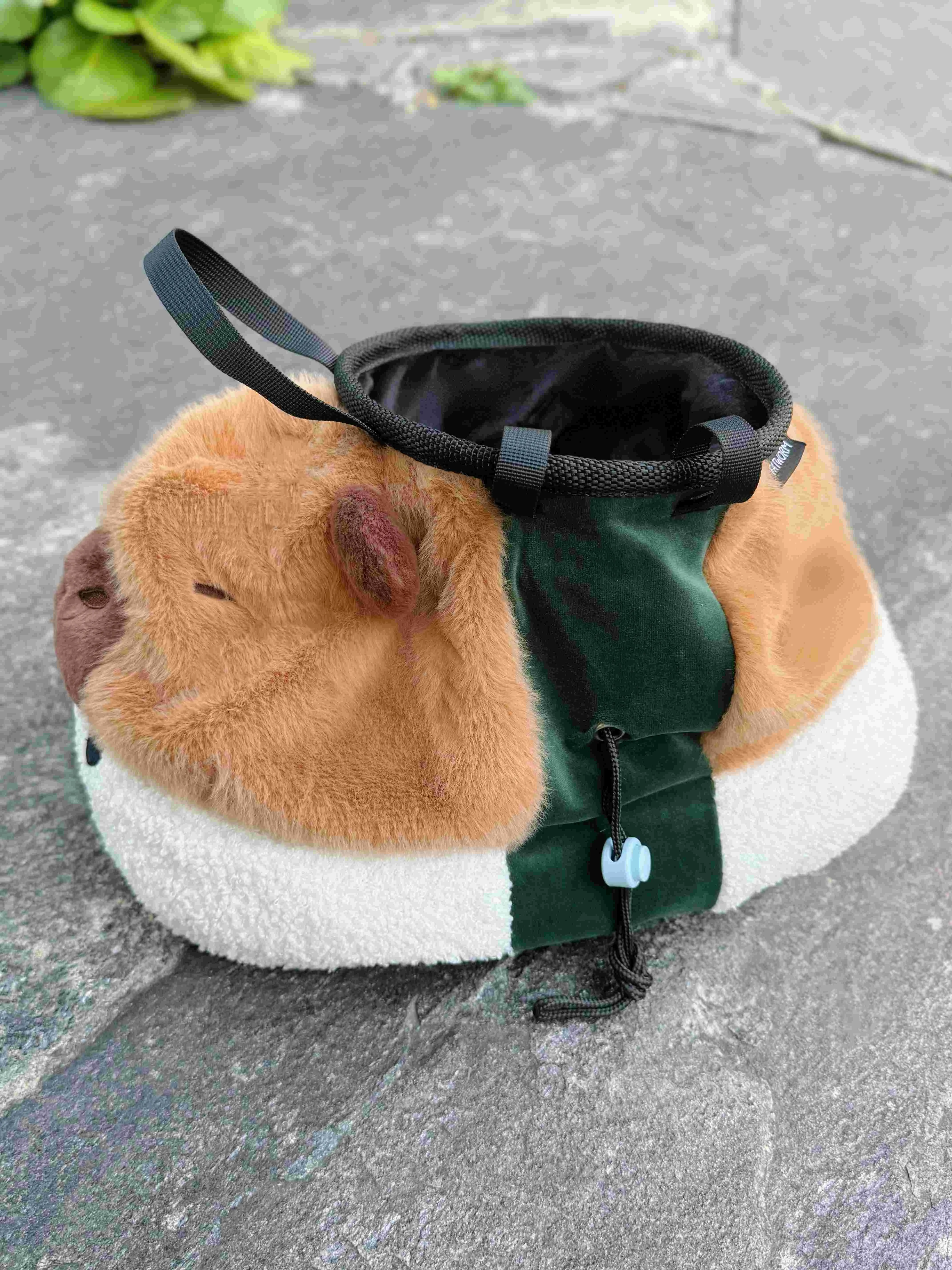 Sushi Capybara Chalk Bucket