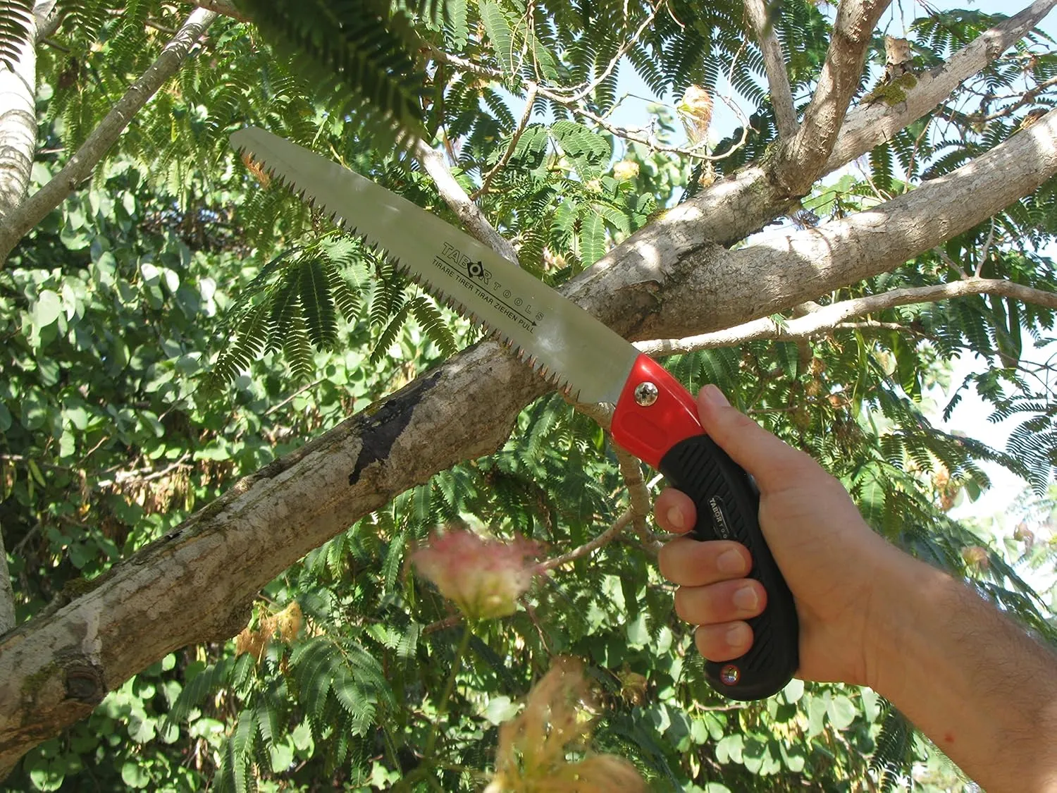 TABOR TOOLS Pruning Saw with Sheath, 10 Inch Hand Saw with Straight Blade and Holster, Suitable for Trimming Tree Branches and Clearing Forest Trails. TTS32A. (10 Inch, Straight Blade)