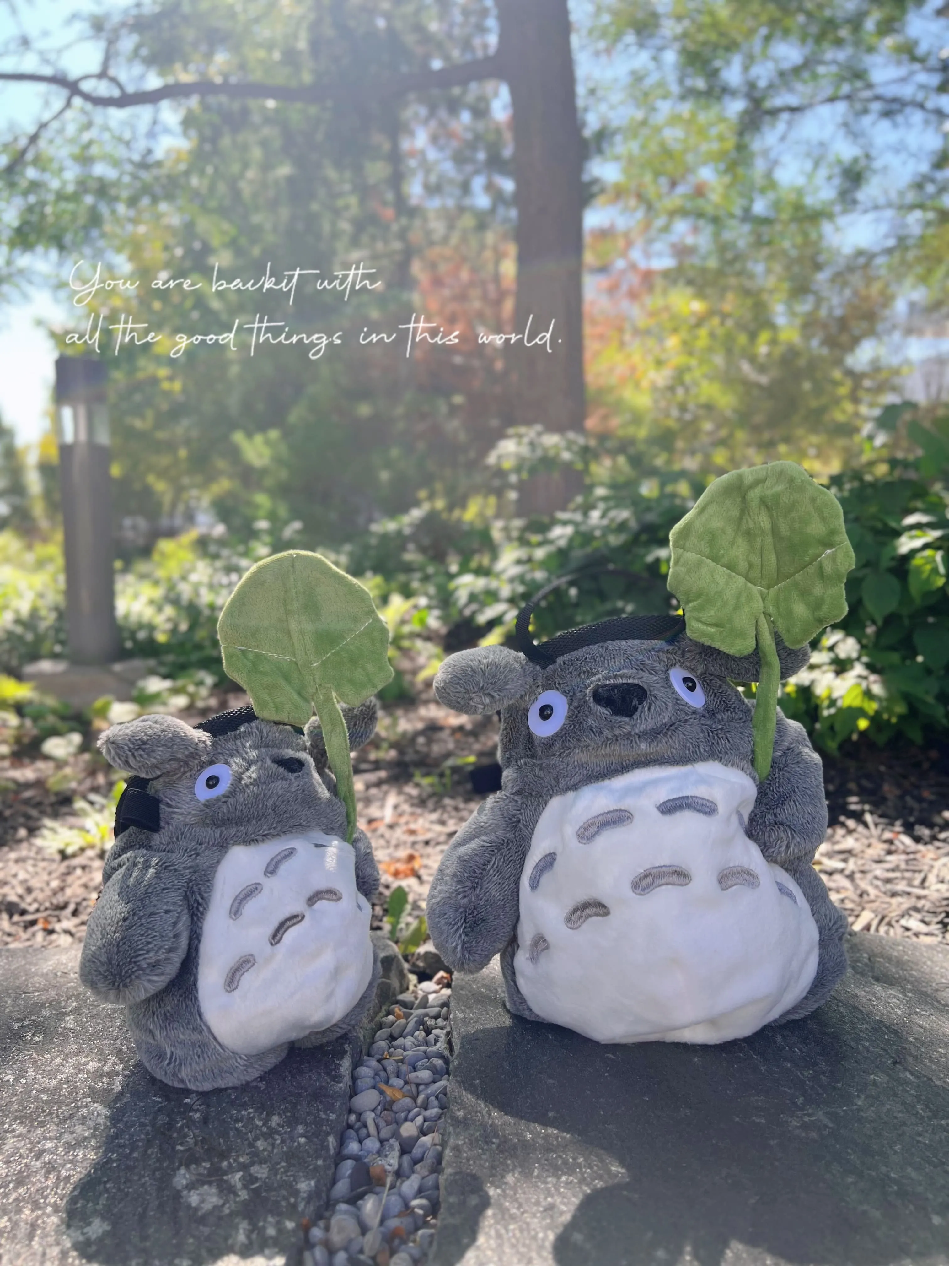 Totoro with Lotus Leaf Chalk Bag/Chalk Bucket