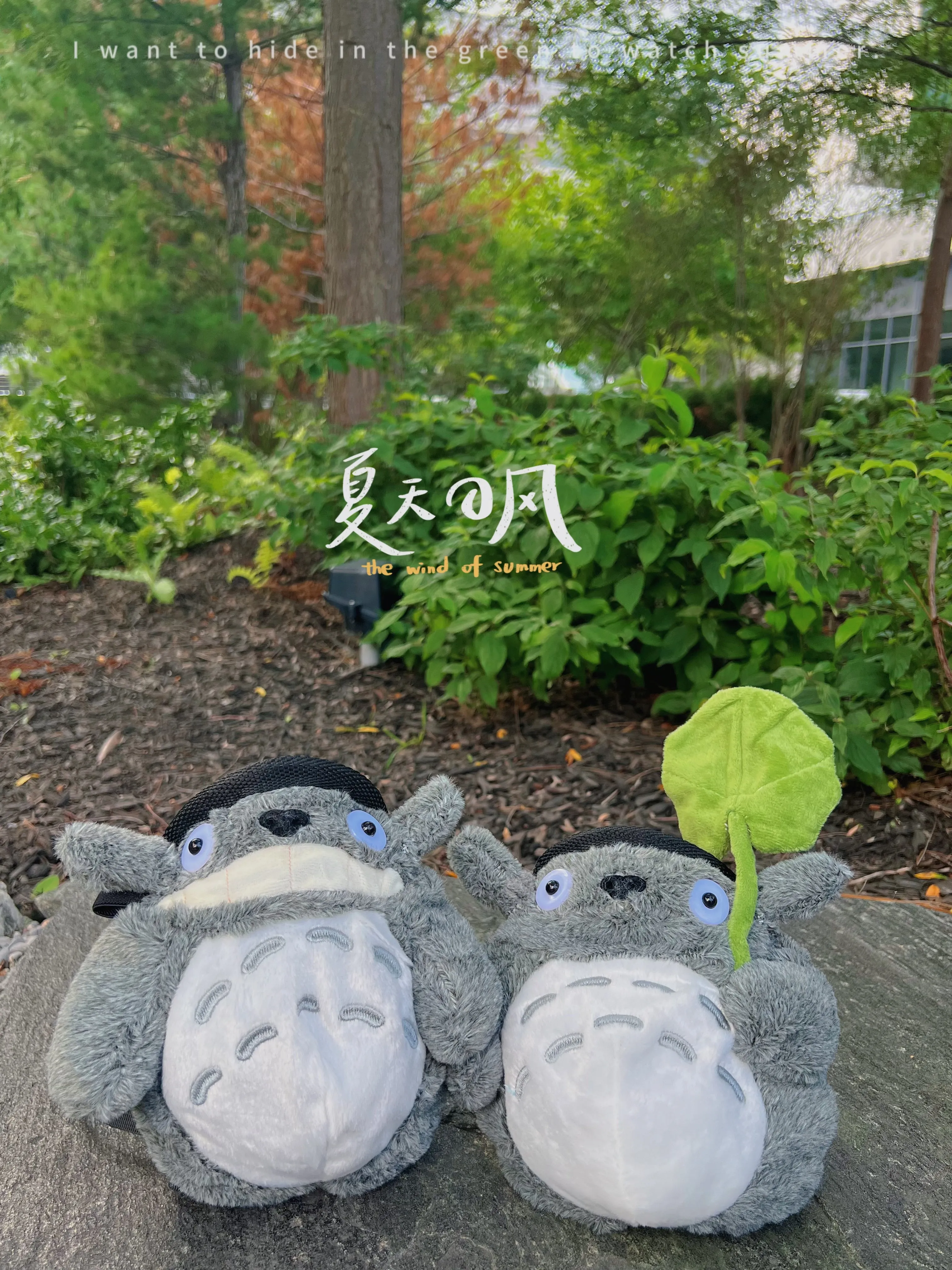 Totoro with Lotus Leaf Chalk Bag/Chalk Bucket