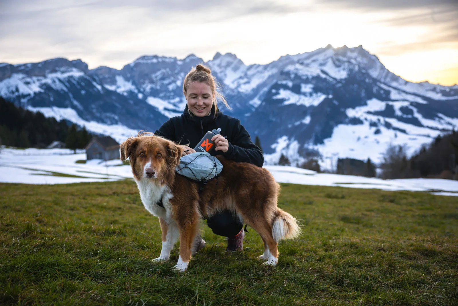 Trail light dog backpack